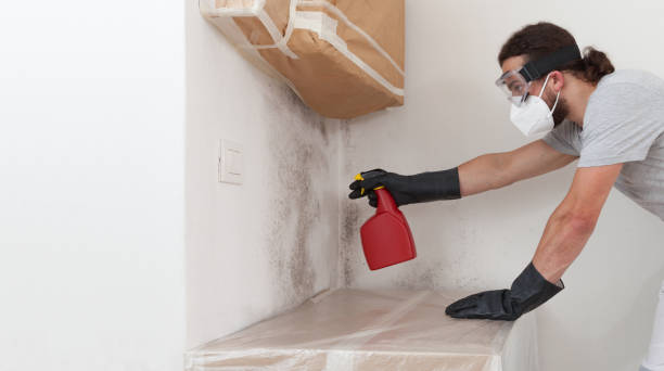 Professional Mold Remediation technician working in Hallwood, VA