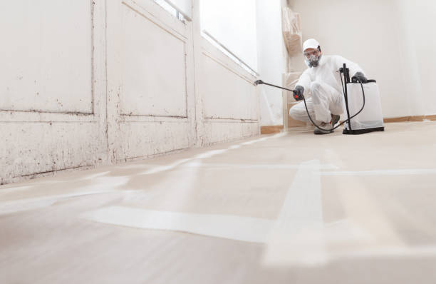 24/7 Emergency Mold Remediation experts in Hallwood, VA