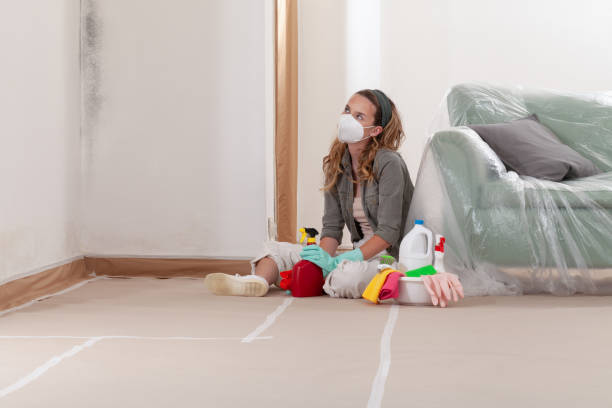 Reliable Mold Remediation contractor in Hallwood, VA by 24 Hour Mold Removal