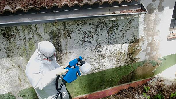 Top rated local Mold Remediation specialists in Hallwood, VA
